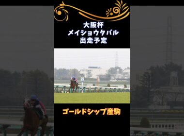 【ゴールドシップ産駒】メイショウタバル【大阪杯へ】 #ゴールドシップ #競馬 #ゴルシ #horse #shorts