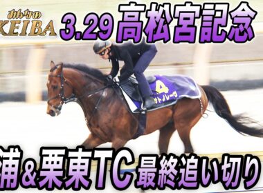 【2026 高松宮記念・最終追い切り】3年連続2着ナムラクレア有終の美なるか？それとも連覇？秋春制覇？　みんなのKEIBA 3月29日 午後3時放送