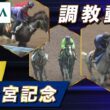 【調教動画】2026年 高松宮記念｜JRA公式