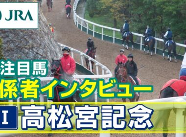 【注目馬 関係者インタビュー】2026年 高松宮記念｜JRA公式