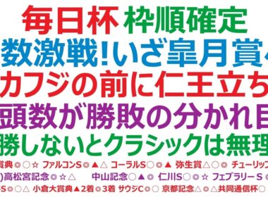 毎日杯2026枠順確定　少数激戦！いざ皐月賞へ！②カフジエメンタールの前に仁王立ちするのは！？小頭数が勝敗の分かれ目に？楽勝しないと、春のクラシックでは望み薄！？