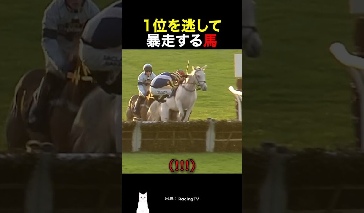 1位を逃して暴走する馬