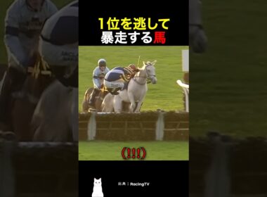 1位を逃して暴走する馬