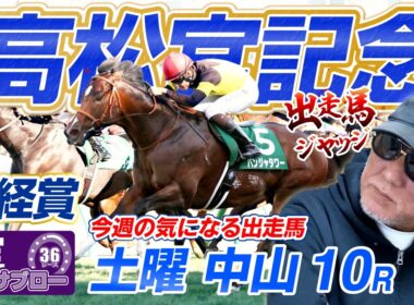 【2026 高松宮記念】出走馬ジャッジ