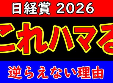 日経賞2026最終予想｜雨後の馬場で結論は変わる？展開×適性から本命・対抗・穴馬を徹底分析