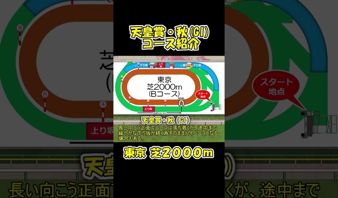 天皇賞・秋コース紹介