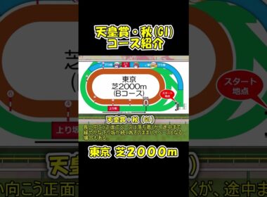 天皇賞・秋コース紹介