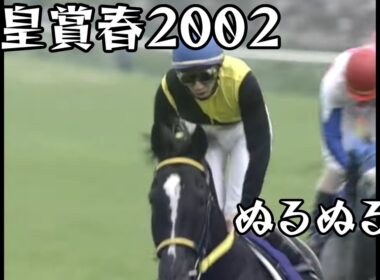マンハッタンカフェ  天皇賞春 2002 ぬるぬる化で見よう conv to 60fps