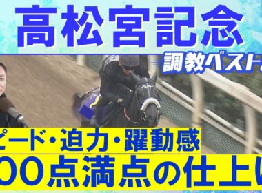 【１０連続調教診断上位馬が激走中！】サトノレーヴ、ナムラクレア、パンジャタワー・・・競馬エイト・高橋賢司トラックマンの調教解説＜高松宮記念(ＧⅠ)＞