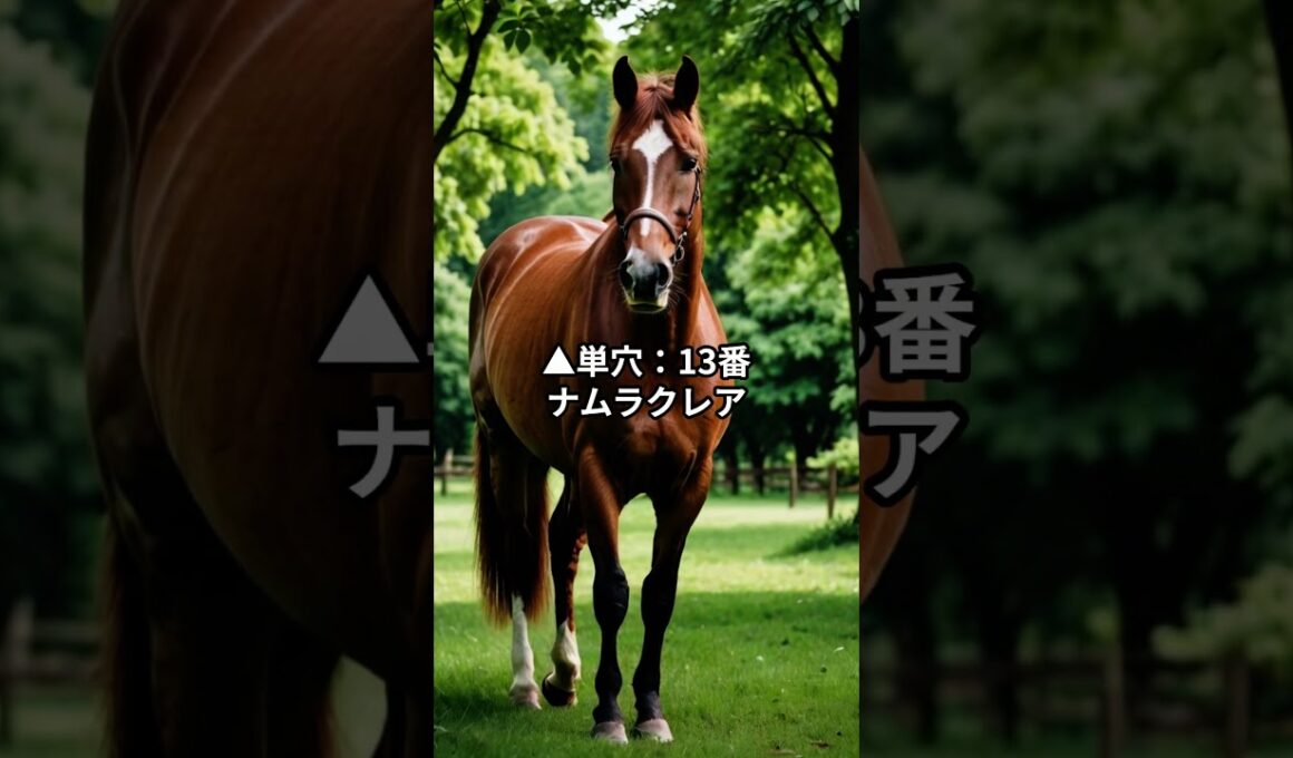 高松宮記念最終予想！注目馬はどれ？