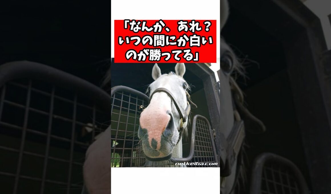 「なんか、あれ？いつの間にか白いのが勝ってる」ゴルシワープの正体がヤバすぎた#競馬 #horse