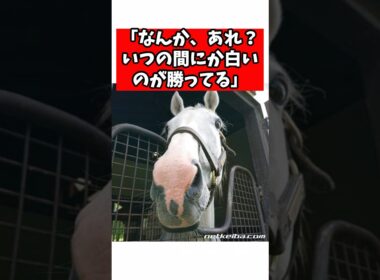 「なんか、あれ？いつの間にか白いのが勝ってる」ゴルシワープの正体がヤバすぎた#競馬 #horse