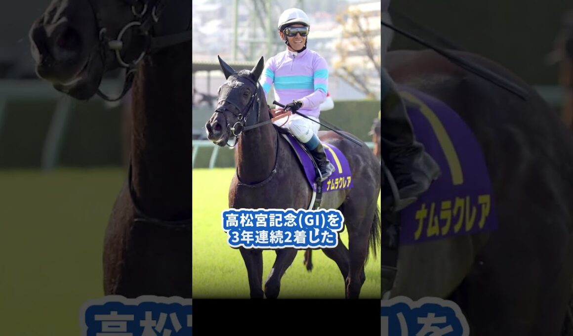 【高松宮記念(GI)】3年連続2着が示す、今年の答え。 #高松宮記念 #高松宮記念2026 #高松宮記念GI #競馬 #競馬予想 #サイン競馬