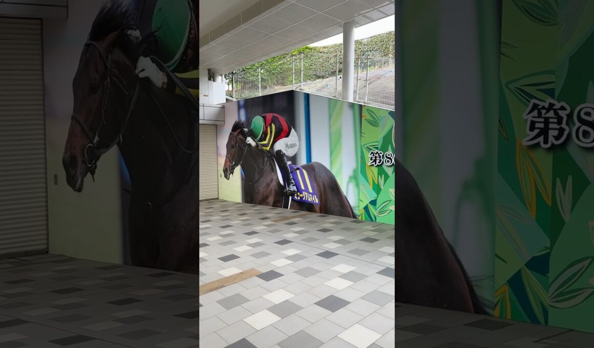 中山皐月賞デコレーション