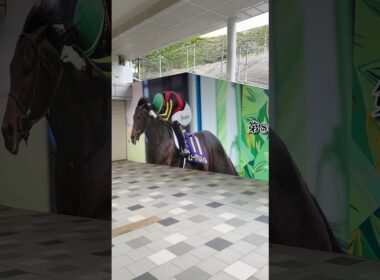 中山皐月賞デコレーション