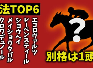 【大阪杯2026】走法TOP6｜1頭だけ“別格”　理由がヤバすぎた【競馬予想】