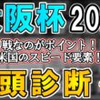 【大阪杯2026 全頭診断】大阪杯血統をした穴馬候補とは…？/レーベンスティール非根幹距離専用機説の真偽を考える ～血統×タイム分析×レース回顧で見る全頭診断～【リュウタロウ/競馬Vtuber】