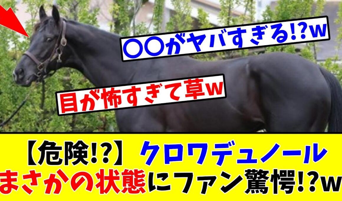 【大阪杯】【危険!?】クロワデュノール、まさかの状態にファン驚愕!?www