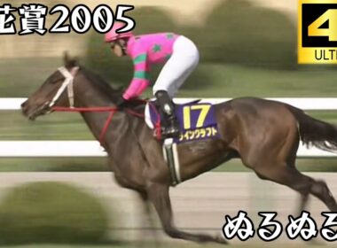 ラインクラフト  桜花賞 2005 ぬるぬる化で見よう conv to 60fps