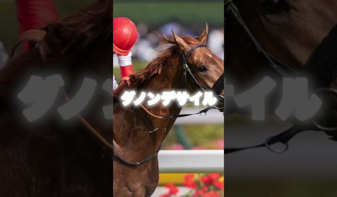 G1大阪杯の注目馬を3頭紹介＃競馬＃競馬予想＃クロワデュノール＃ダノンデサイル＃メイショウタバル