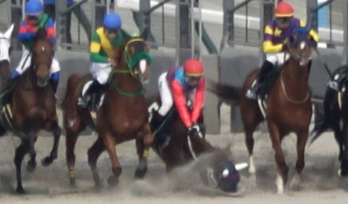 【落馬】【放馬】高松宮記念day 第10Rで⑤タマモキャリコ一人で走って3着確保‼ 最後は職員によって確保‼ 現地映像