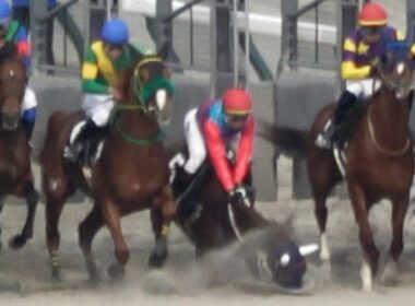 【落馬】【放馬】高松宮記念day 第10Rで⑤タマモキャリコ一人で走って3着確保‼ 最後は職員によって確保‼ 現地映像