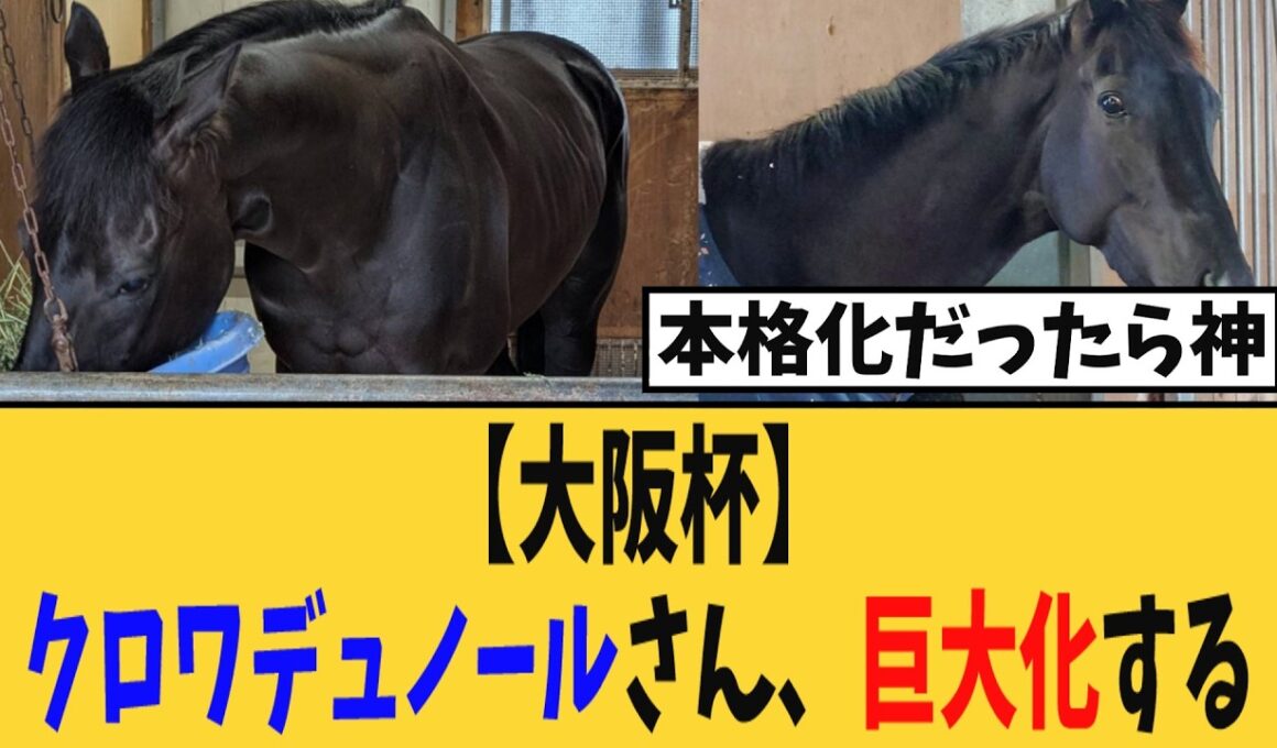 【大阪杯】クロワデュノールさん、巨大化するw