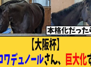 【大阪杯】クロワデュノールさん、巨大化するw