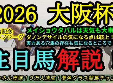 【注目馬解説】2026大阪杯！馬体がかなり良化した穴馬の存在！メイショウタバルの好走条件は！？