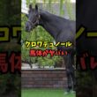 【大阪杯】クロワデュノール、馬体がヤバいw w w