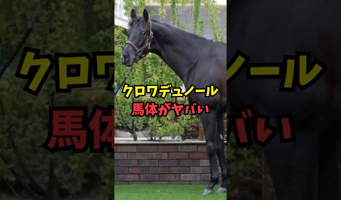 【大阪杯】クロワデュノール、馬体がヤバいw w w