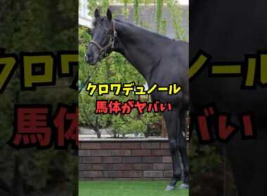 【大阪杯】クロワデュノール、馬体がヤバいw w w