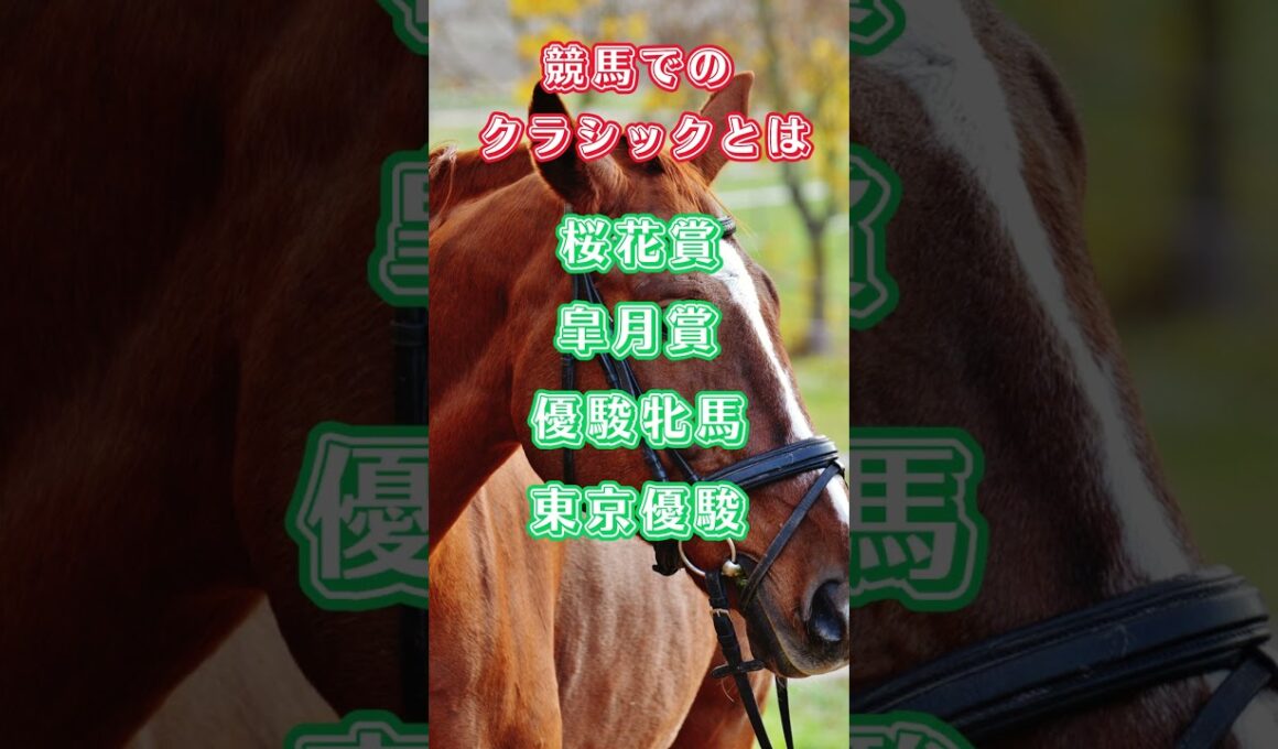 g1　競馬　三冠？3歳！クラシックって何！？#shorts