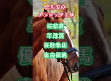g1　競馬　三冠？3歳！クラシックって何！？#shorts