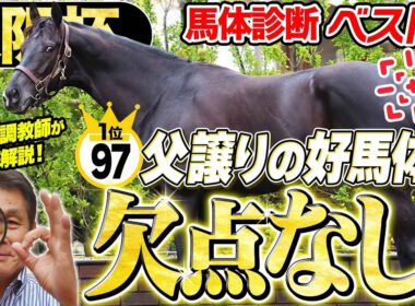 【大阪杯2026】2頭のダービー馬のジャッジは！？中村均元調教師が馬体診断ベスト５を発表 ！《東スポ競馬》
