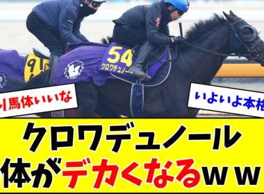 【大阪杯】クロワデュノール、馬体が凄いことにw w w
