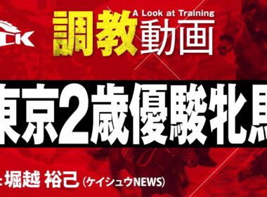 【第49回 東京2歳優駿牝馬(SI)】の調教追い切り動画