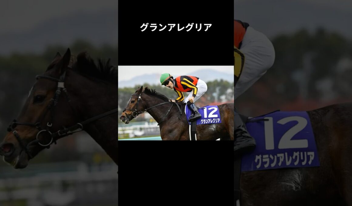 二階級女王、美しき、速さ #グランアレグリア #競馬 #shorts #マイルチャンピオンシップ #安田記念 #スプリンターズステークス  #桜花賞 #大阪杯 #ヴィクトリアマイル #ウマ娘