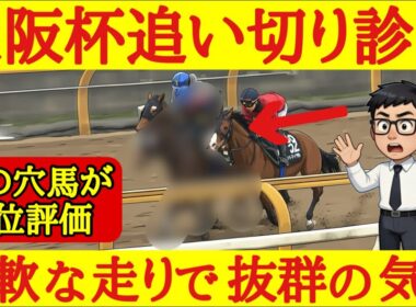 【大阪杯2026】最終追い切り診断！まさかのあの穴馬が1位評価！抜群の動きを見せており波乱を起こしてもおかしくない！