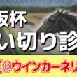 追い切り徹底解説！【大阪杯2026】クロワデュノール、ダノンデサイルなどの状態はどうか？調教S評価は2頭！