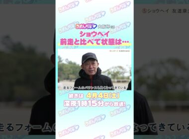 大阪杯 GⅠ トレセン直撃取材！　#競馬 #大阪杯 #ショウヘイ #友道康夫 調教師