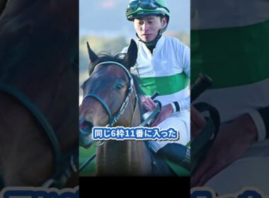 【大阪杯(GI)】ドリームジャーニーが示した“6枠”のサイン#大阪杯 #大阪杯2026 #競馬 #競馬予想 #サイン競馬