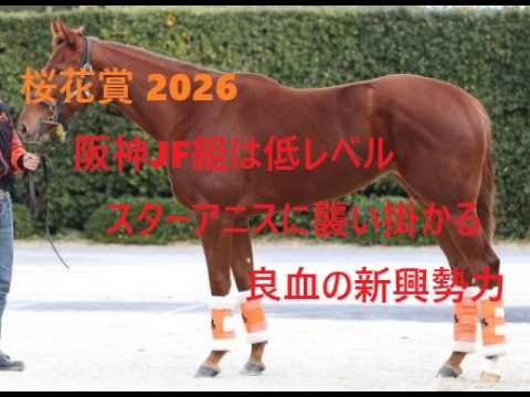 桜花賞 2026　阪神JF組は低レベル　スターアニスに襲い掛かる良血の新興勢力