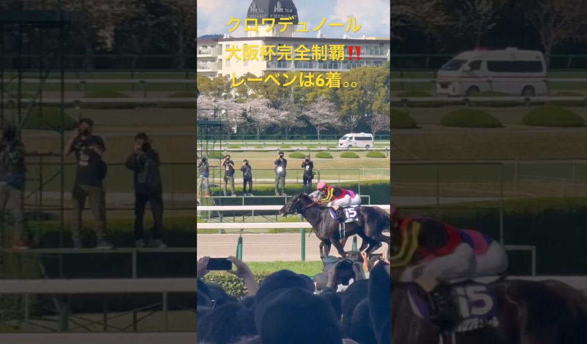 【競馬現地映像】クロワデュノール 大阪杯完全制覇1.57.6‼️待ち望んだダービー馬の復活‼️仁川の満開の桜の中駆け抜けた優駿たち！我らがレーベンスティールは一瞬見せ場つくるも6着。。。