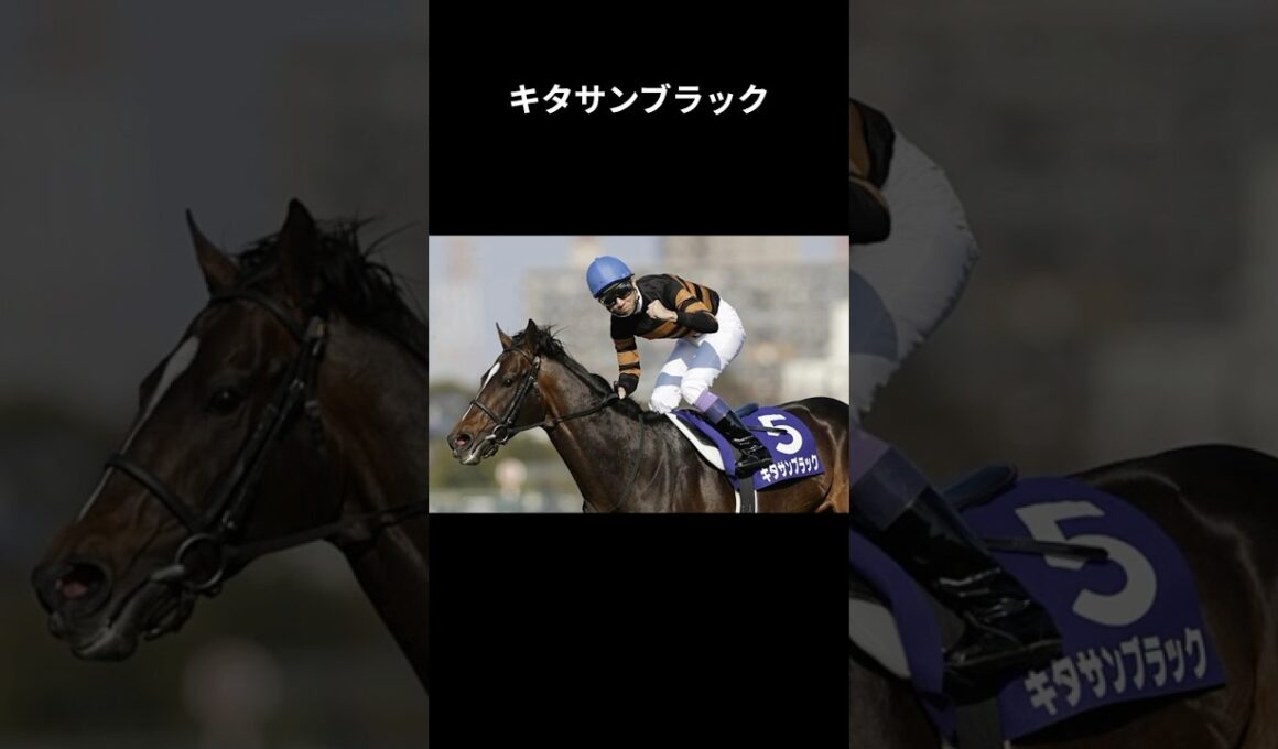 【大阪杯】初代王者キタサンブラックを2分で復習 #キタサンブラック #大阪杯 #クロワデュノール #エコロディノス #親子制覇　#父仔制覇　#競馬 #shorts #ウマ娘