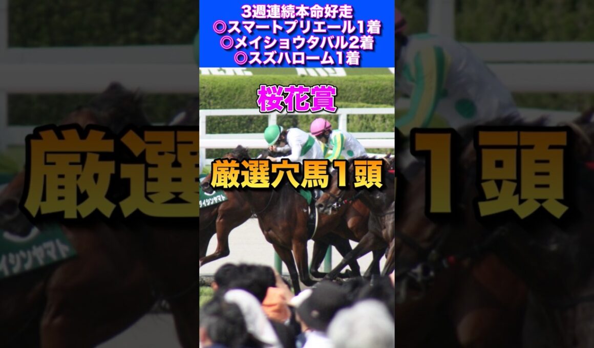 【桜花賞2026厳選穴馬1頭】先週◎スズハローム10人気1着🎯◎メイショウタバル2着🔥