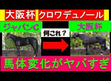 【衝撃映像】現在のクロワデュノールの馬体がヤバすぎる【2026年 大阪杯】