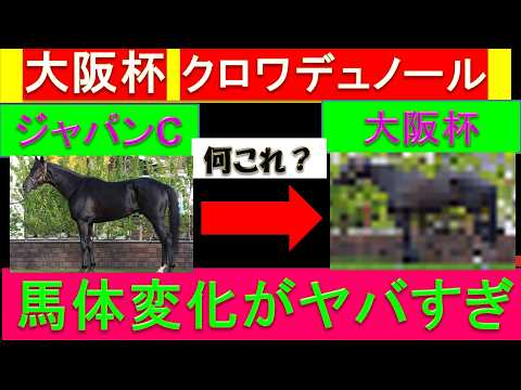 【衝撃映像】現在のクロワデュノールの馬体がヤバすぎる【2026年 大阪杯】