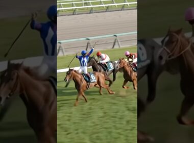 団野…？#大阪杯 #競馬 #horseracing #クロワデュノール #メイショウタバル #ダノンデサイル