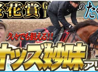 【桜花賞2026】久々でも自信を持って「大丈夫」！桜の女王を太組不二雄がジャッジ！《東スポ競馬》